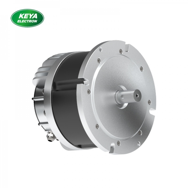 乐动在线官网215系列48V 4000W 1500RPM